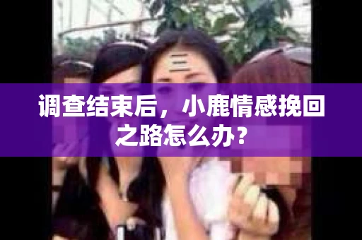 调查结束后，小鹿情感挽回之路怎么办？