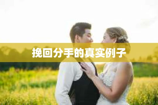 挽回分手的真实例子
