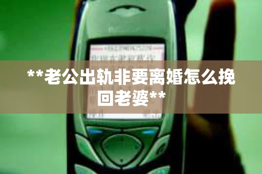 **老公出轨非要离婚怎么挽回老婆**