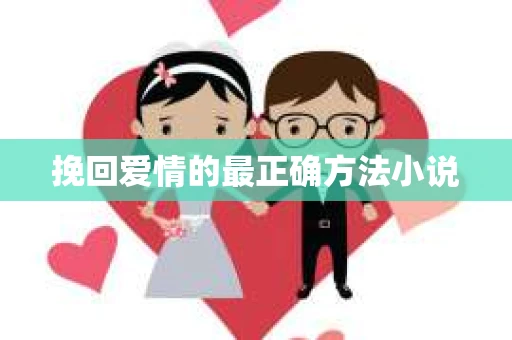 挽回爱情的最正确方法小说