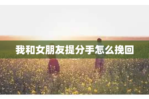 我和女朋友提分手怎么挽回