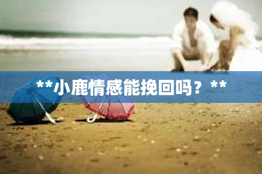 **小鹿情感能挽回吗？**