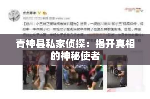 青神县私家侦探：揭开真相的神秘使者