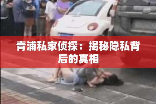 青浦私家侦探：揭秘隐私背后的真相