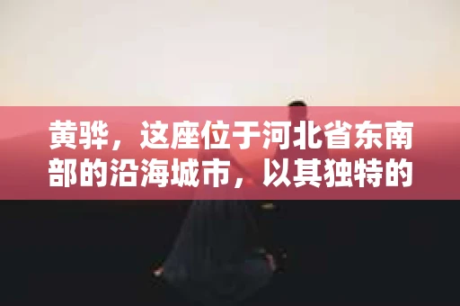 黄骅，这座位于河北省东南部的沿海城市，以其独特的地理位置和丰富的历史文化而闻名。然而，在这座城市中，还有一群人，他们以另一种方式默默守护着社会的公平与正义——私家侦探。今天，我们就来聊聊黄骅的私家侦探，看看他们是如何在这个城市中发挥作用的。