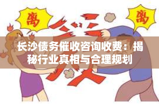 长沙债务催收咨询收费：揭秘行业真相与合理规划