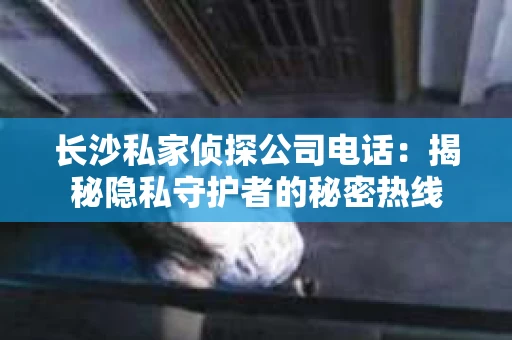 长沙私家侦探公司电话：揭秘隐私守护者的秘密热线