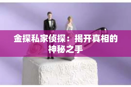 金探私家侦探：揭开真相的神秘之手
