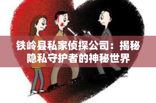 铁岭县私家侦探公司：揭秘隐私守护者的神秘世界