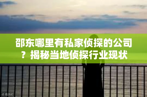 邵东哪里有私家侦探的公司？揭秘当地侦探行业现状