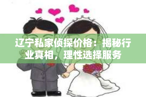 辽宁私家侦探价格：揭秘行业真相，理性选择服务