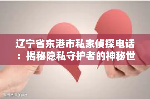 辽宁省东港市私家侦探电话：揭秘隐私守护者的神秘世界