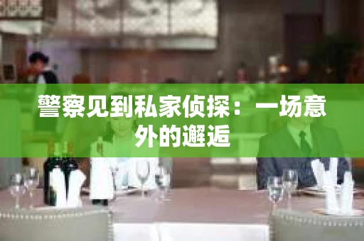 警察见到私家侦探：一场意外的邂逅
