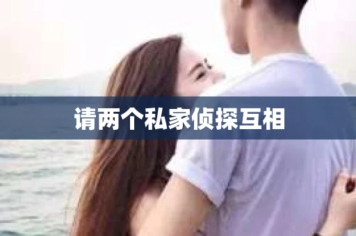请两个私家侦探互相