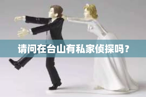请问在台山有私家侦探吗？