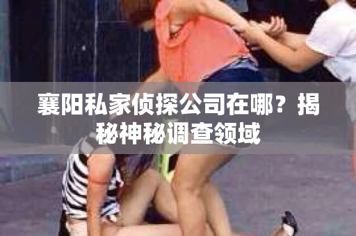 襄阳私家侦探公司在哪？揭秘神秘调查领域