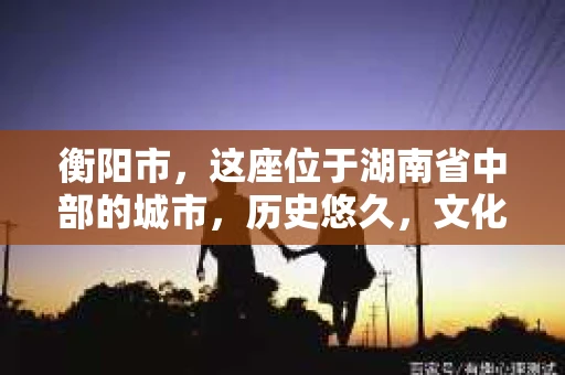 衡阳市，这座位于湖南省中部的城市，历史悠久，文化底蕴深厚。随着社会的发展，人们对于个人隐私的保护意识逐渐增强，私家侦探机构也应运而生。那么，衡阳市是否有私家侦探机构呢？今天，我们就来聊聊这个话题。