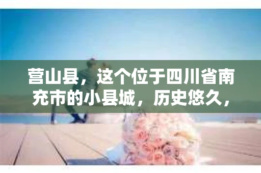 营山县，这个位于四川省南充市的小县城，历史悠久，风景秀丽。但在这个宁静的小县城里，你是否会好奇，有没有私家侦探的存在呢？今天，我就来和大家聊聊这个话题。