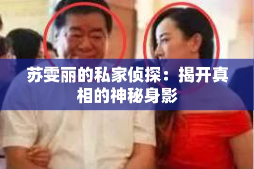 苏雯丽的私家侦探：揭开真相的神秘身影
