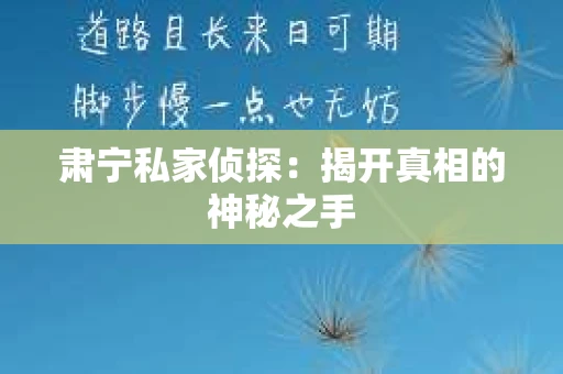 肃宁私家侦探：揭开真相的神秘之手