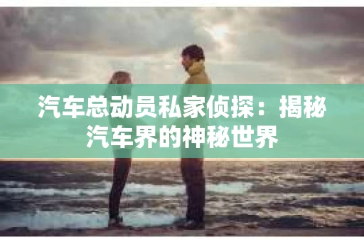 汽车总动员私家侦探：揭秘汽车界的神秘世界