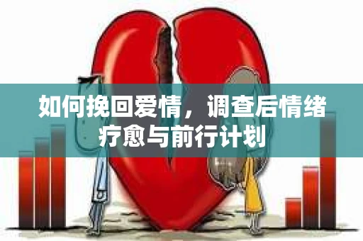 如何挽回爱情，调查后情绪疗愈与前行计划