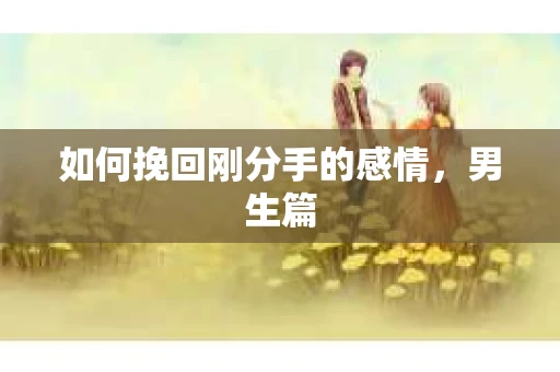 如何挽回刚分手的感情，男生篇