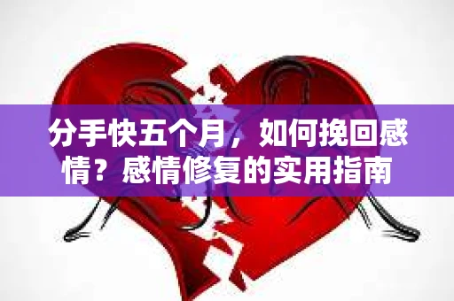 分手快五个月，如何挽回感情？感情修复的实用指南
