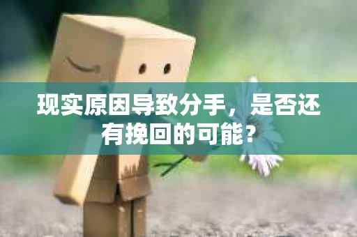 现实原因导致分手，是否还有挽回的可能？