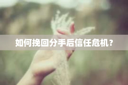 如何挽回分手后信任危机？