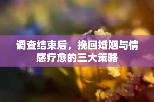 调查结束后，挽回婚姻与情感疗愈的三大策略