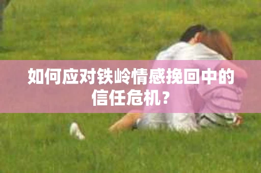 如何应对铁岭情感挽回中的信任危机？